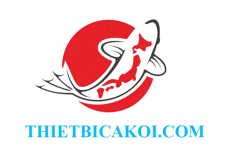 10 logo THIETBICAKOI