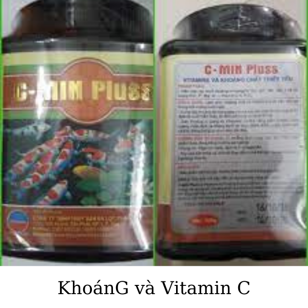 1 KhoanG va Vitamin C