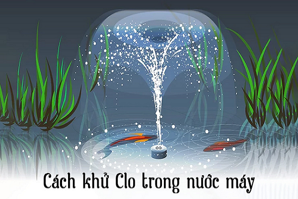 1 Xu ly nuoc may de nuoi ca canh hieu qua