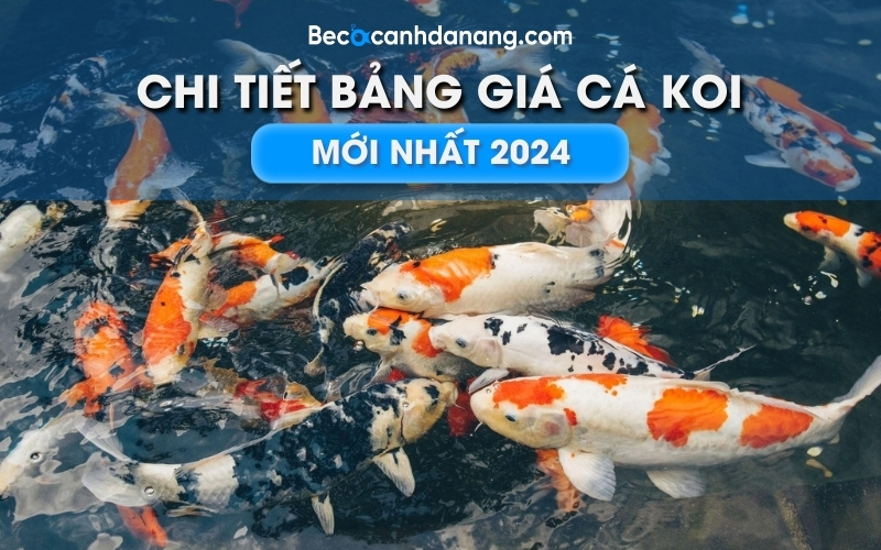 1 bang gia ca Koi 01