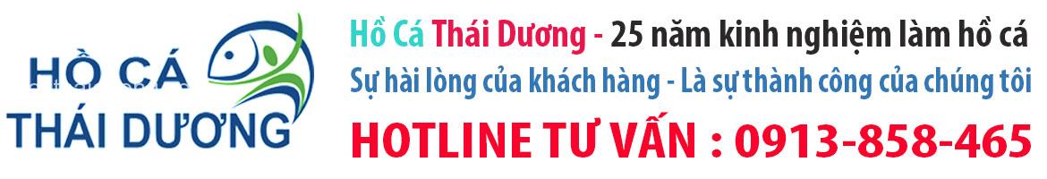 1 banner ho ca thai duong