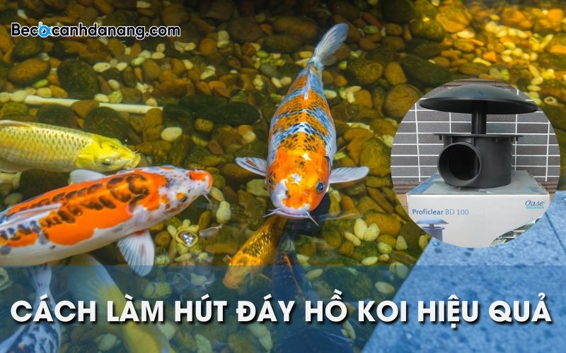 1 cach lam hut day ho Koi 01