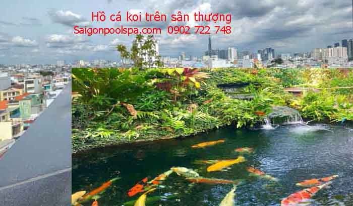 1 ho ca koi tren san thuong tren mai