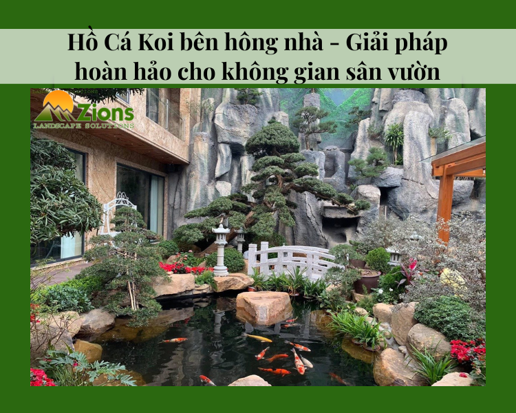 1 ho ca koi ben hong nha banner