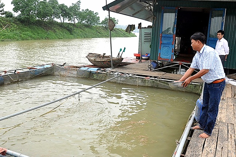 1 nuoi ca long nam dinh 1557201115