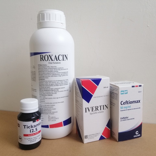 1 tickamit roxacin ivertin ceftiomax w 960x960 7c43c2b4 7761 4efd 98a1 1b647e234b42