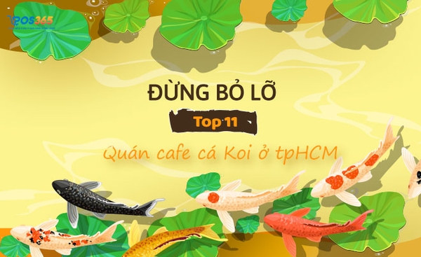 1 top 11 quan cafe ca koi o tphcm dep quen loi ve