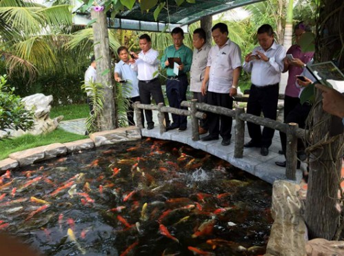 2 Koi farm