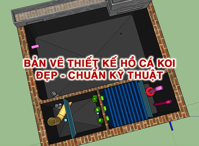 3 ban ve thiet ke ho ca koi