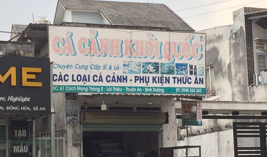 4 ca canh