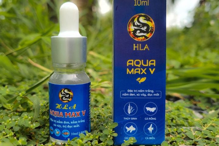 Aqua Max V. Blue Sky 999 giup tieu diet cac loai nam gay hai cho lop nhot cua ca