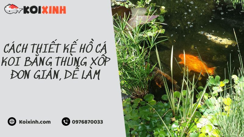 Cach thiet ke ho ca Koi bang thung xop don gian de lam 2