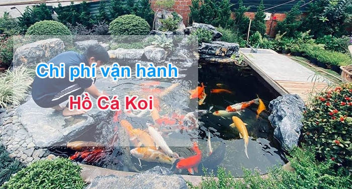 Chi phi van hanh ho ca koi