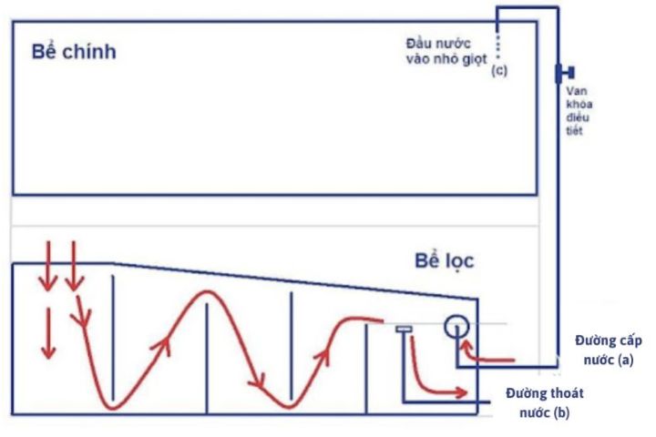 Hệ thống lọc tràn dưới và trên cho bể cá rồng: So sánh và Lợi ích