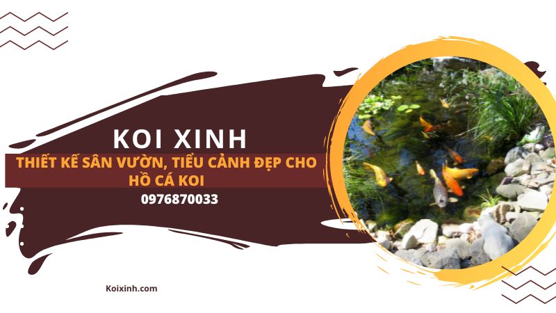 Thiet ke san vuon tieu canh dep cho ho ca Koi