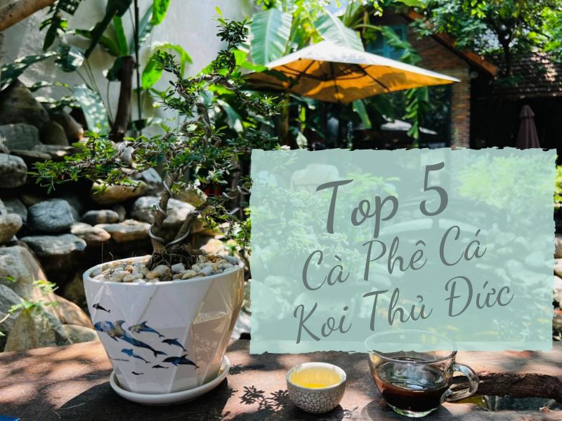 Top 5 Ca Phe Ca Koi Thu Duc 2