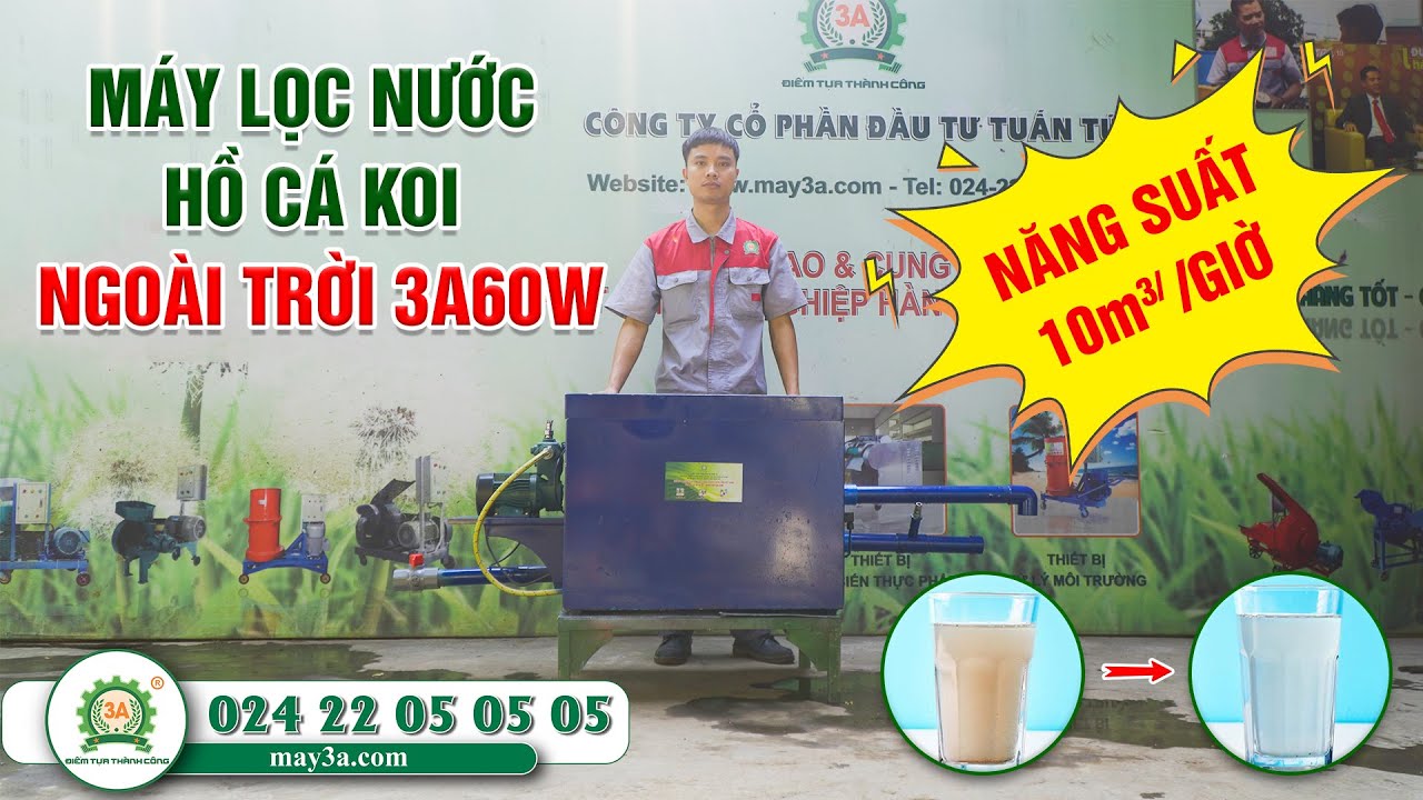 Bán Bộ Lọc Hồ Cá Koi: Hướng Dẫn Chọn Lựa Thông Minh