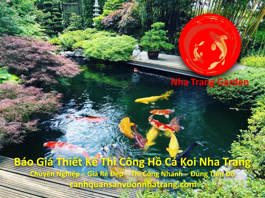 bao gia lam ho ca koi chuyen nghiep dep nha trang