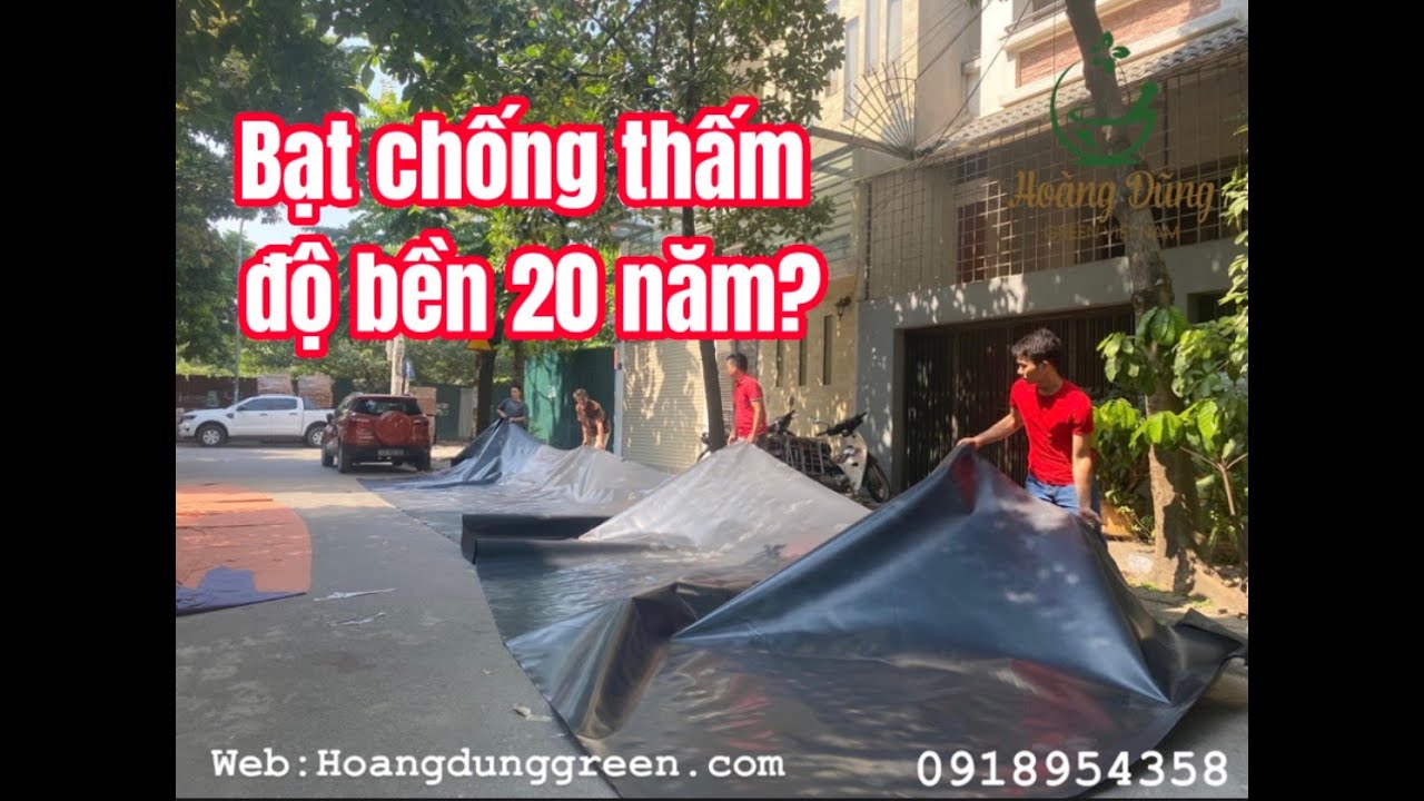 Bạt Lót Hồ Cá Koi: Bí Quyết Cho Hồ Cá Sang Trọng