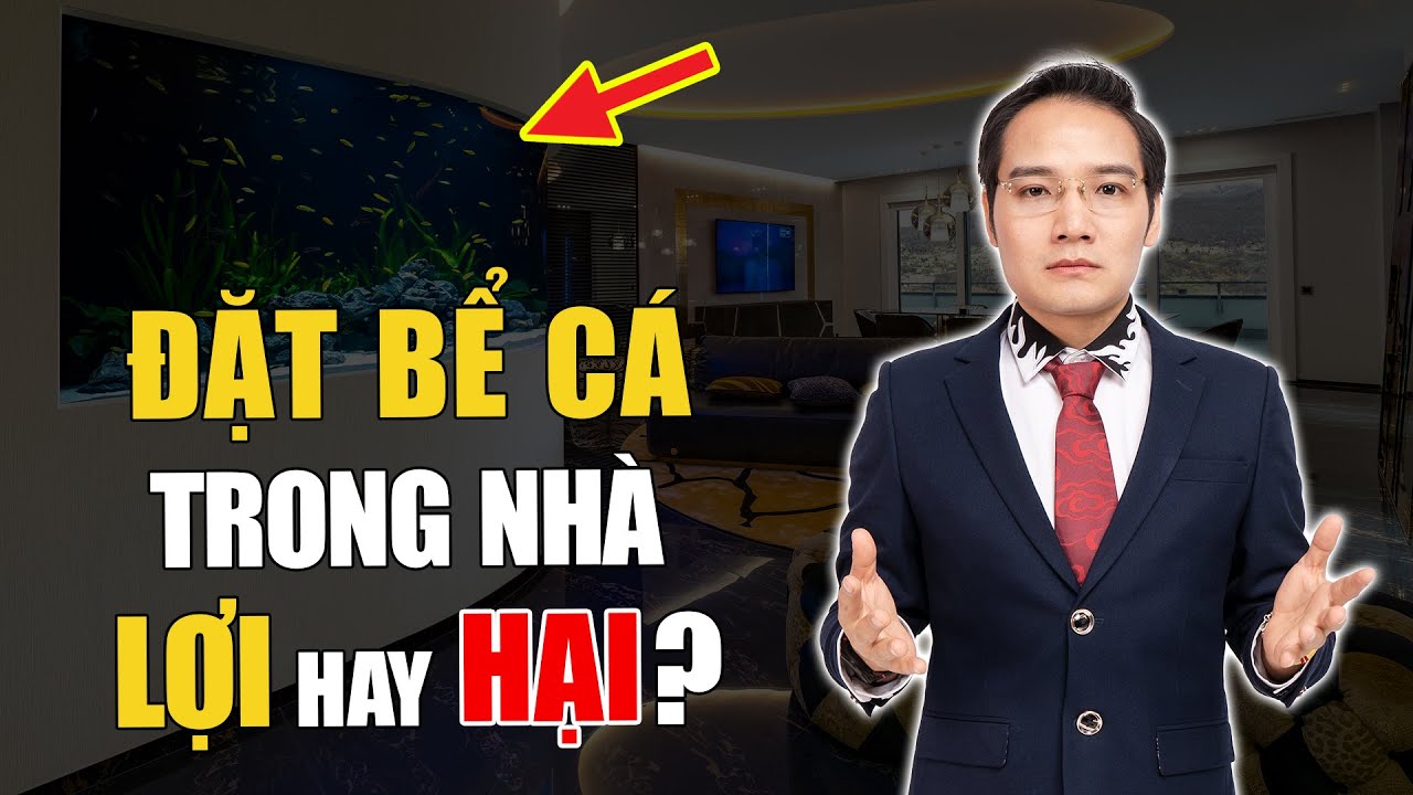 Bể Cá Koi Bên Trái Nhà: Phong Thủy & Hướng Dẫn Xây Dựng