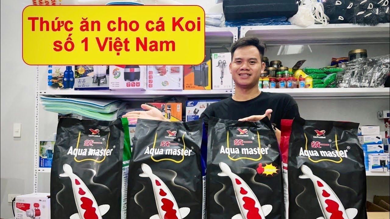 Bí quyết cho cá Koi Việt lên màu đẹp: Lựa chọn thức ăn và chăm sóc tối ưu