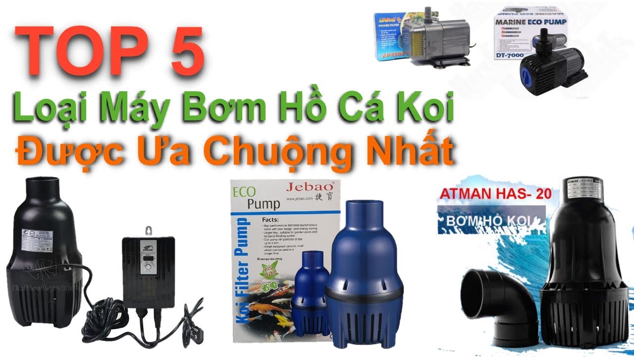 Bơm Lọt Nước Hồ Cá Koi: Hướng Dẫn Chọn & Lắp Đặt Hiệu Quả