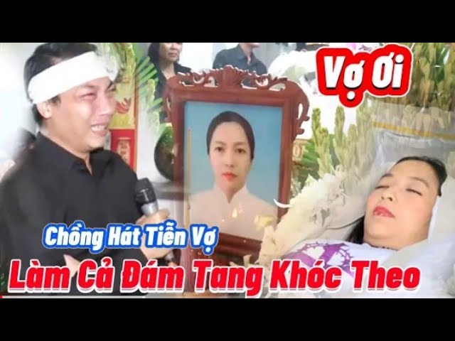 Cá Koi Âu Dương Lân Quận 8: Trại Cá Koi Uy Tín, Chất Lượng