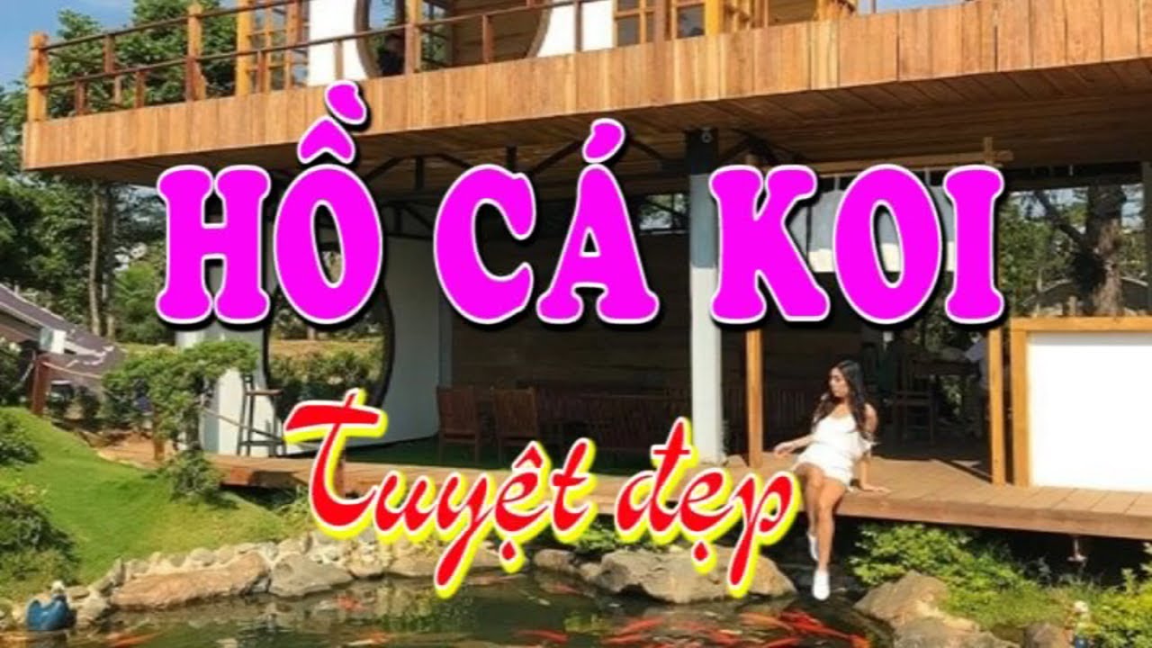 Cá Koi Bay Phất Phới Đà Lạt: Nơi Gặp Gỡ Giữa Thiên Nhiên & Nghệ Thuật