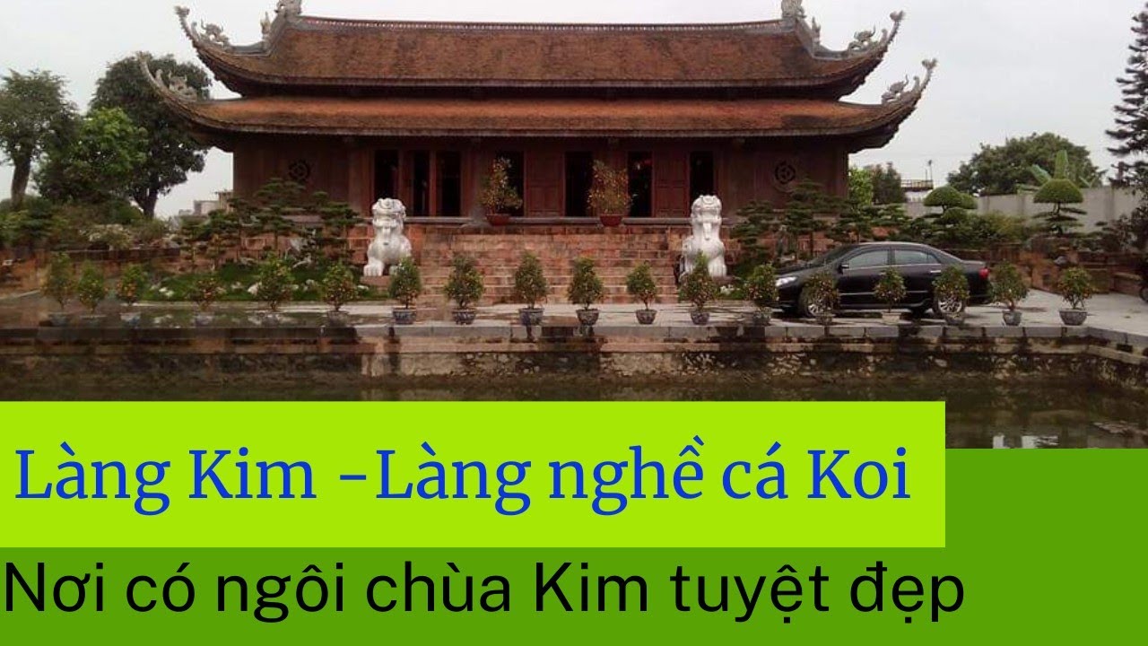 Cá Koi Mỹ Lộc Nam Định: Thiên Đường Cá Koi Chất Lượng