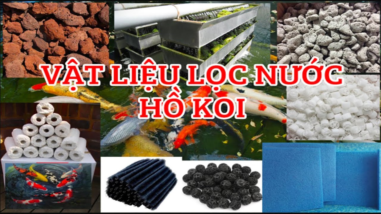 Các Ngăn Lọc Hồ Cá Koi: Chọn Lọc & Lắp Đặt Hiệu Quả