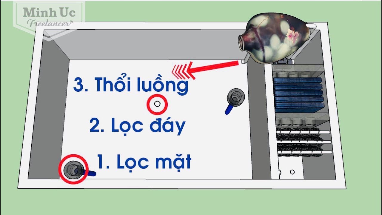 Cách Dấu Hệ Thống Lọc Cá Koi Gầm Cầu Thang: Hướng Dẫn Chi Tiết Từ A-Z