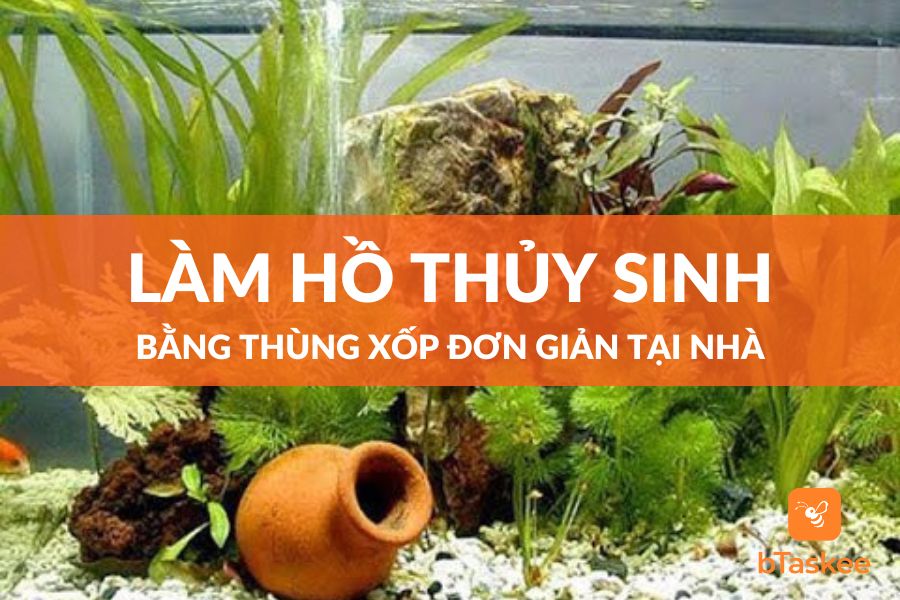 cach lam ho thuy sinh bang thung