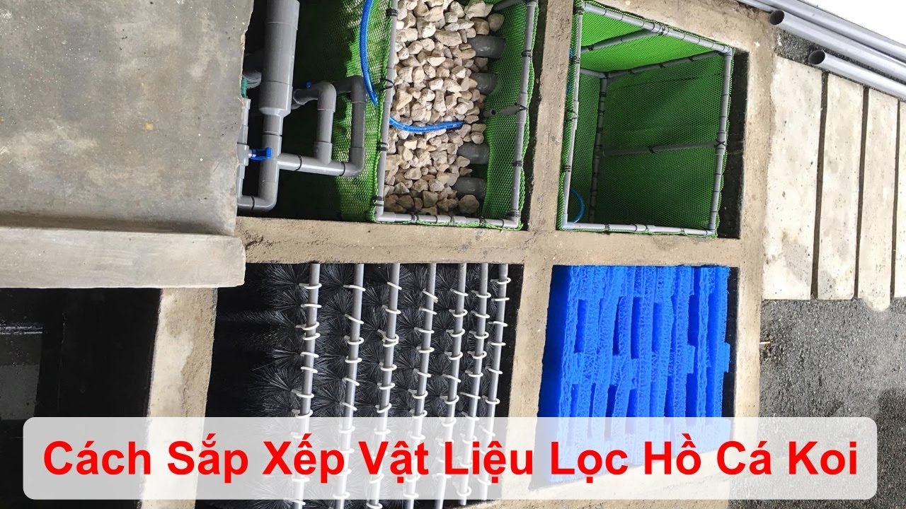 Cách Sắp Xếp Vật Liệu Lọc Hiệu Quả Cho Bể Cá Koi