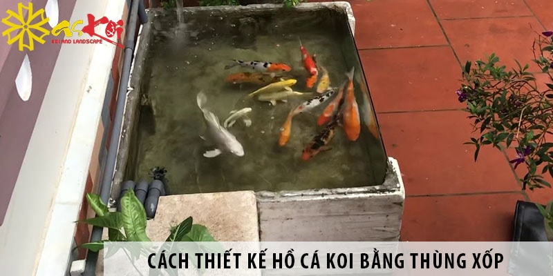 cach thiet ke ho ca koi bang thung xop don gian de lam