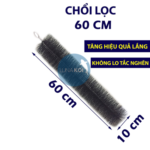 choi loc ho ca koi 60cm