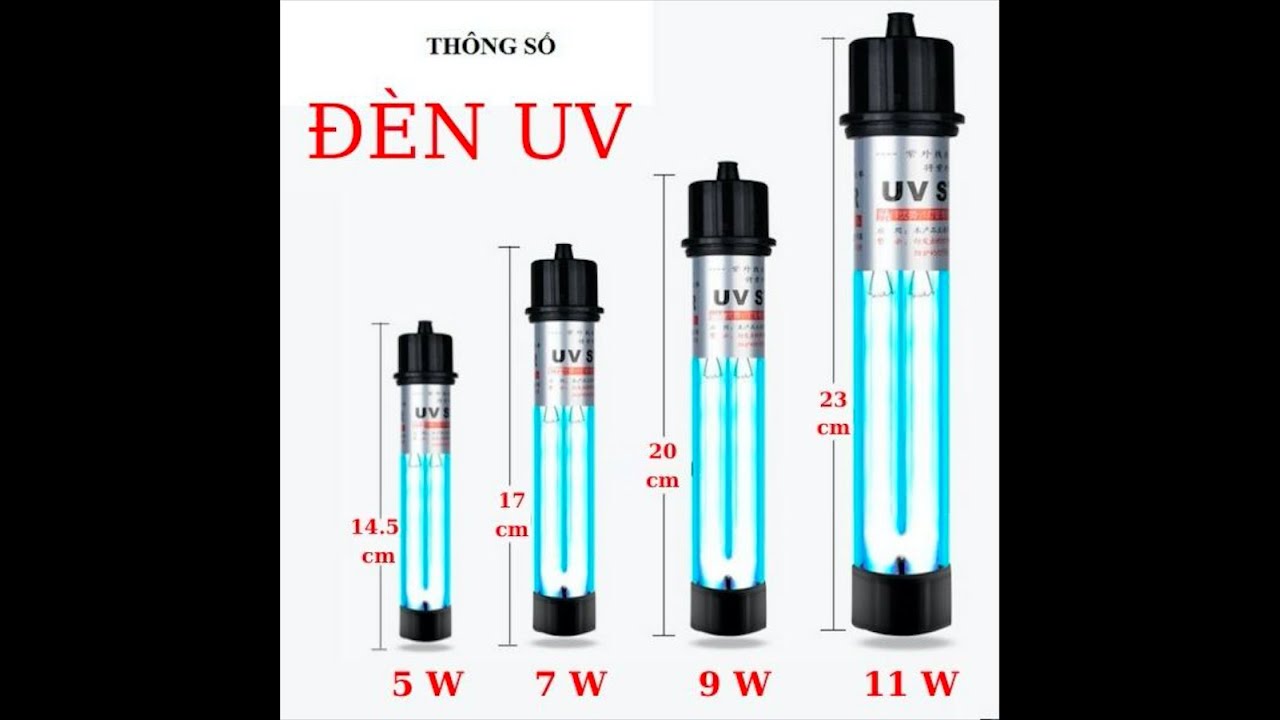 Chọn Đèn UV Cho Hồ Cá Koi: Hướng Dẫn Chi Tiết