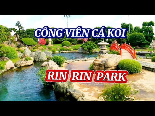 Công Viên Cá Koi Bình Chánh: Khám Phá Thế Giới Cá Koi Lung Linh