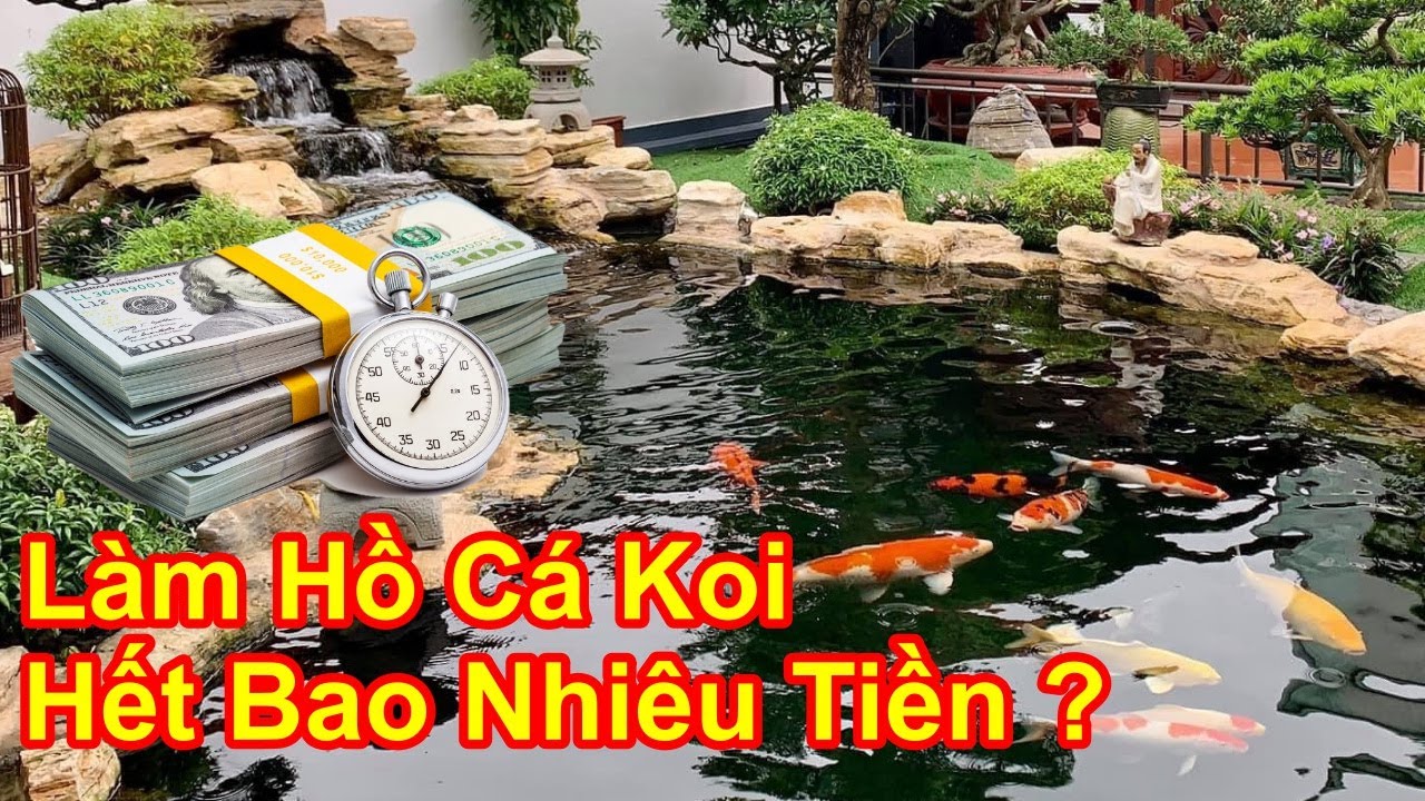 Địa chỉ trang trại cá Koi của Tống Trọng Nguyên