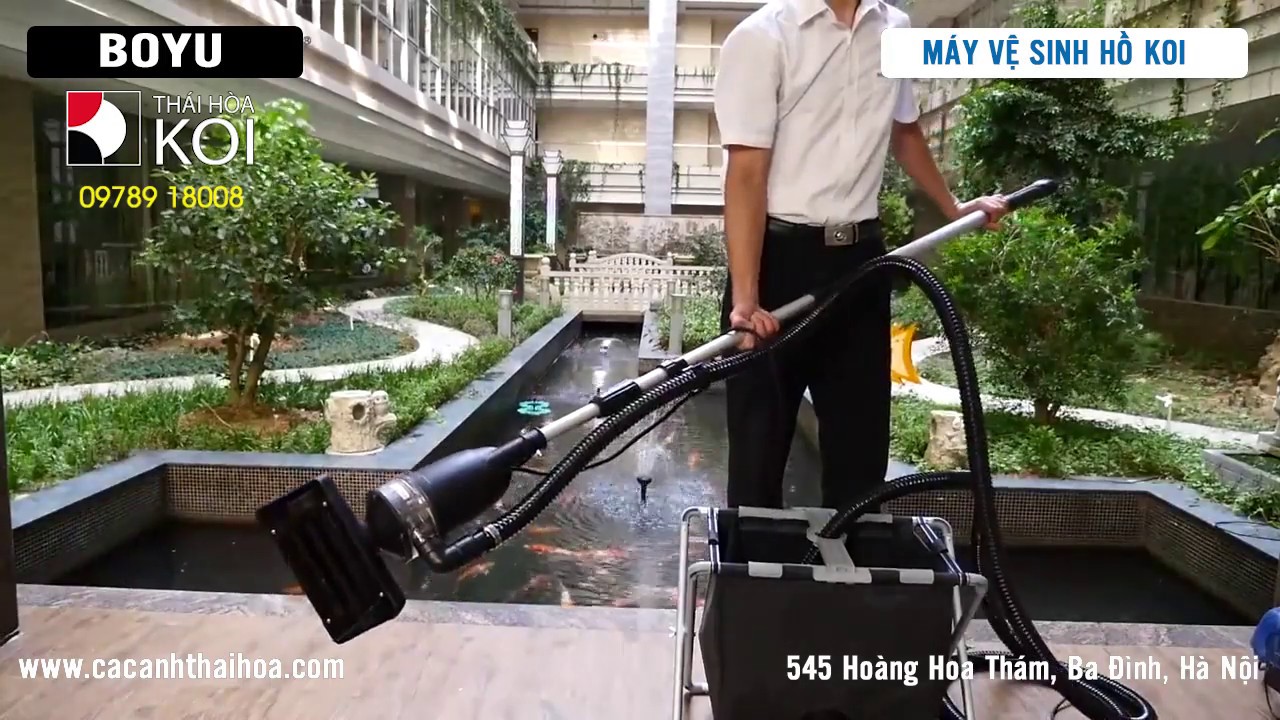 Giá Máy Vệ Sinh Hồ Cá Koi & Hướng Dẫn Chọn Mua