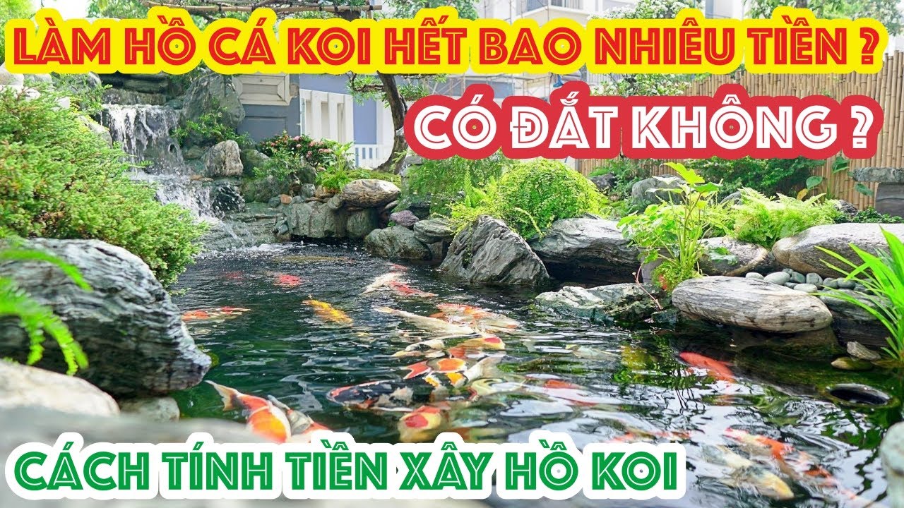 Giá Thi Công Hồ Cá Koi: Báo Giá & Lựa Chọn Uy Tín