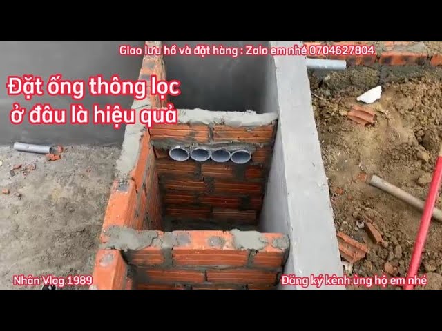 Hệ thống lọc bể cá Koi: Bí quyết cho hồ cá Koi đẹp và khỏe