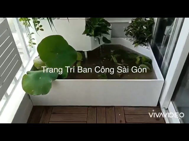 Hồ cá Koi ban công: Mang thiên nhiên vào nhà bạn