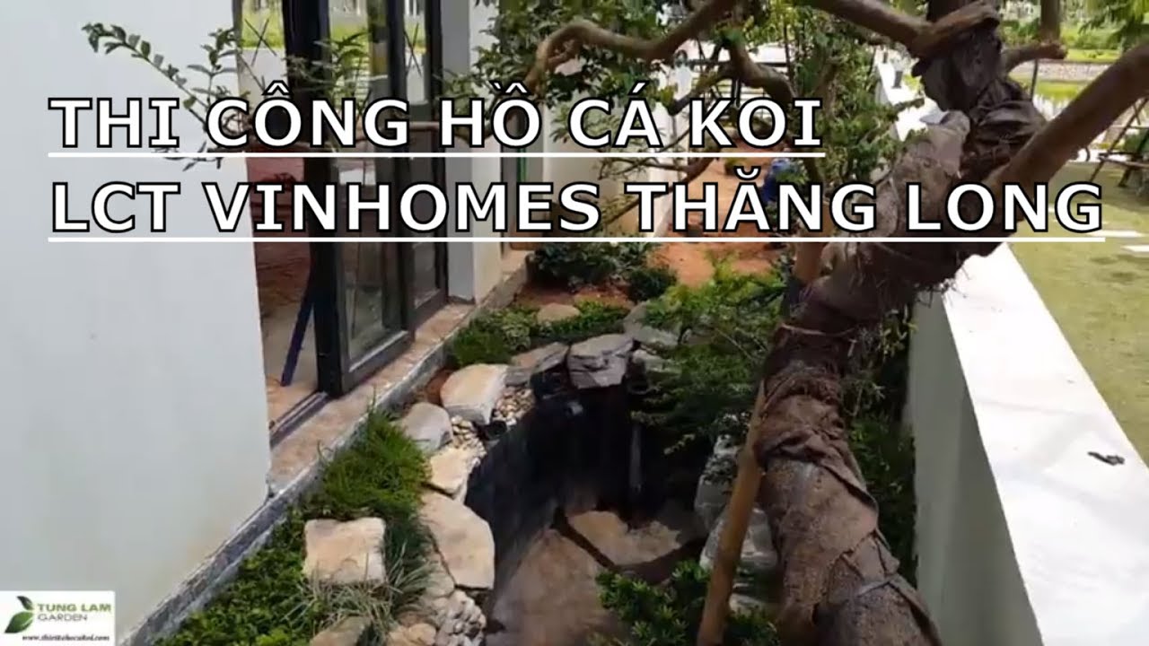 Hồ Cá Koi Bên Hông Nhà: Tạo Điểm Nhấn Cho Không Gian Xanh