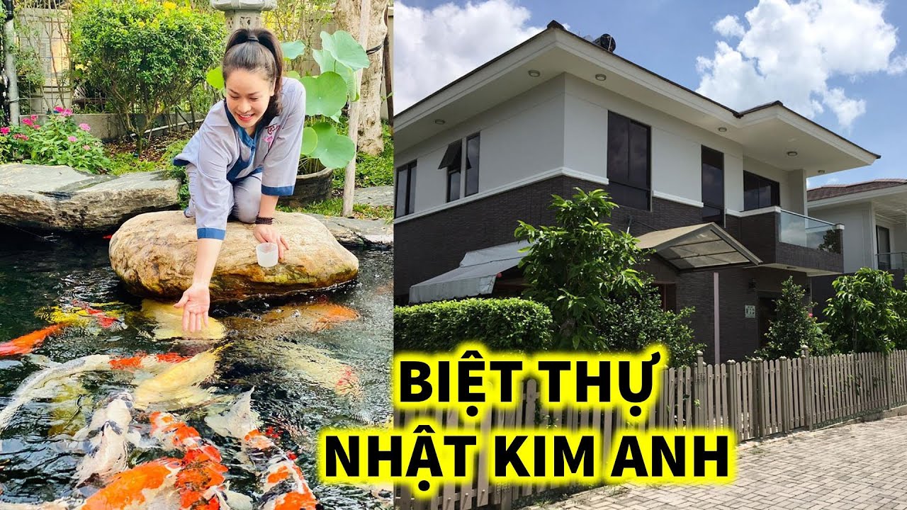 Hồ cá Koi Nhật Kim Anh: Nét đẹp tinh tế & phong thủy