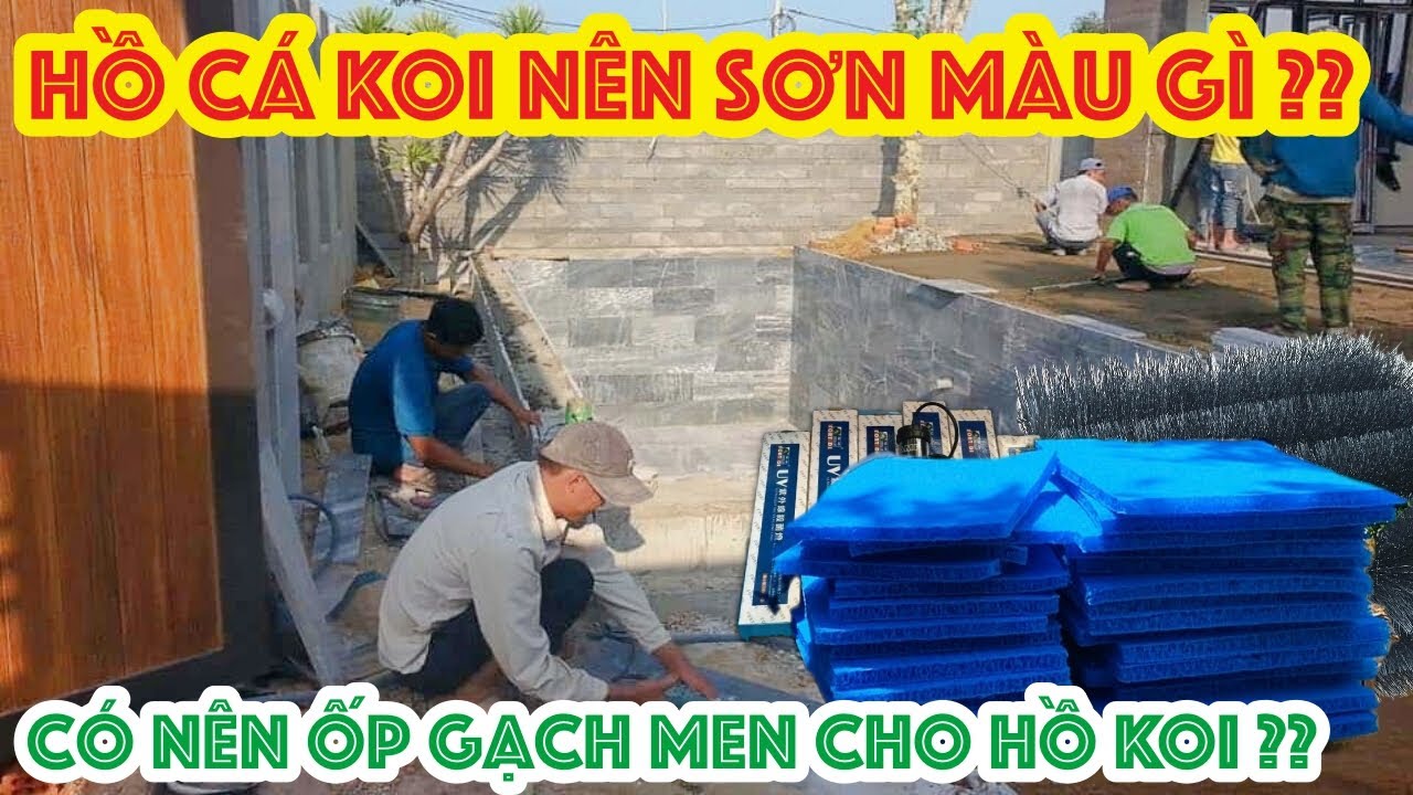 Hồ Cá Koi Sơn Màu Gì Hợp Phong Thủy Và Cá?