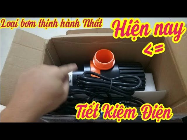 Hướng Dẫn Mua Dụng Cụ Làm Hồ Cá Koi Chuẩn