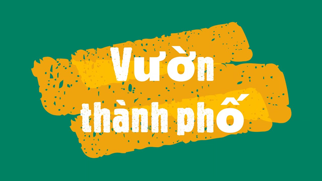 Hướng dẫn Nuôi Cá Koi Trong Thùng Xốp Trên Sân Thượng