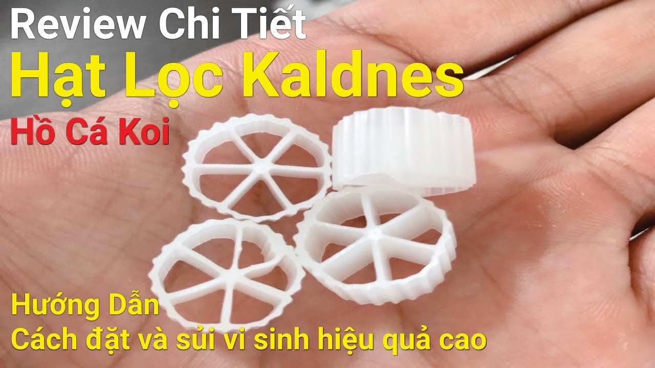 Kanes Lọc Hồ Cá Koi: Tác Dụng & Ưu Điểm