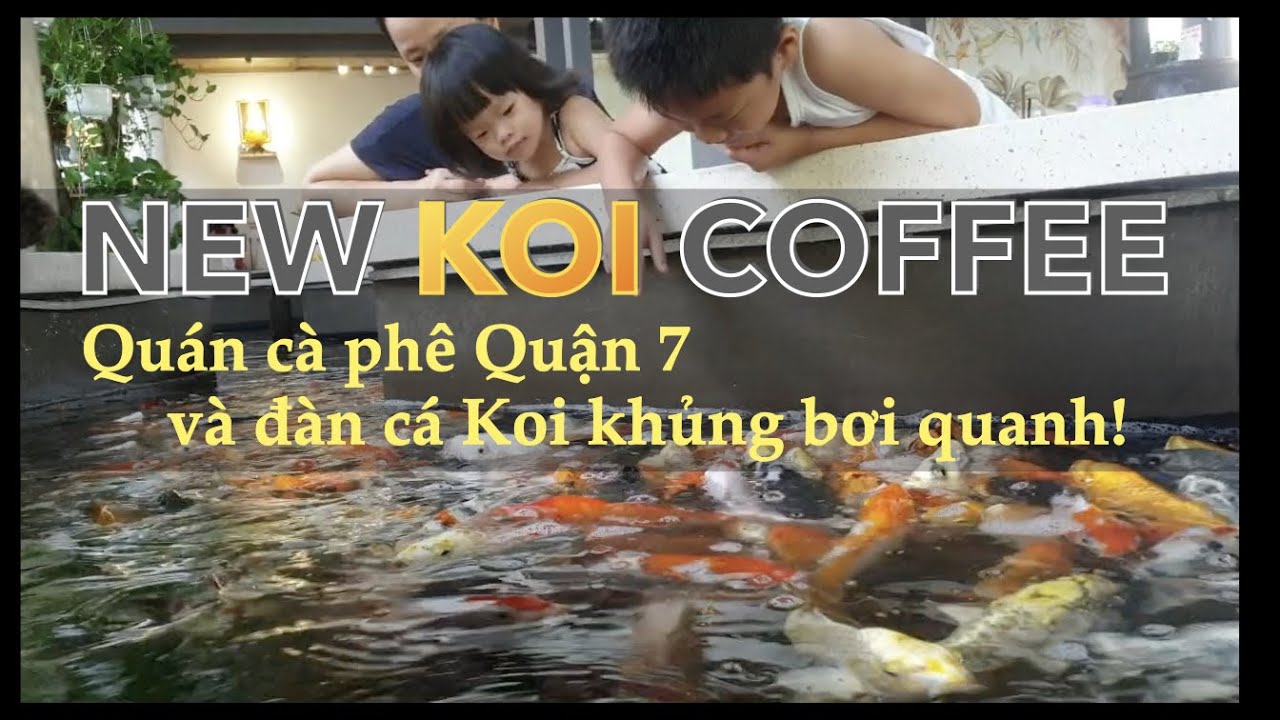 Khám Phá Thế Giới Cá Koi Thu Hút Tại Quận 7