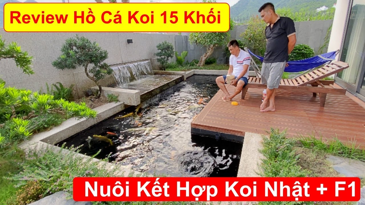 Kinh nghiệm thiết kế hồ cá Koi: Từ A đến Z